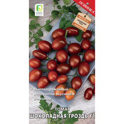 ������ ������ ����� ���������� ������ F1   ����