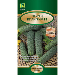 ������ ������ ������ �������� F1   ����