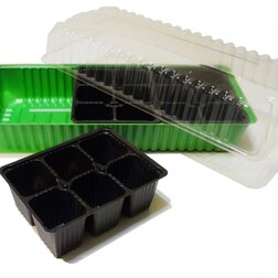 ������ ������ ����������+3���� ������� �� 9/6 �����   ����