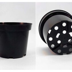 ������ ������ ������ D17 ������ V2�   ����