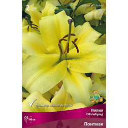 ������ ������ ����� ��-������ ������� (2 ��.)   ����