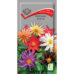 ������ ������ �������� ��-��-��   ����