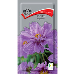 ������ ������ ������ �������   ����