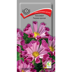 ������ ������ ������ ������� �������   ����