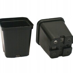 ������ ������ ������ �9 (9�9�10) (������) (�����, �������)   ����