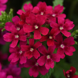 ������ ������ ������� ����� ����� (1��-1000��) ���������������� ������   ����