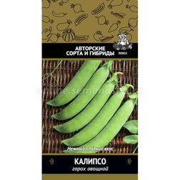 ������ ������ ����� ������� �������   ����