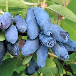 ������ ������ ��������� ��������� ������� ������   ����