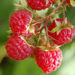 ������ ������ ������ ������� (��� �����)   ����