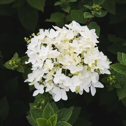 ������ ������ ��������� ����������� ��� �� ����   ����