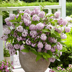 ������ ������ ������ ��������� ��������� ������ (����� �����)   ����