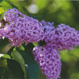 ������ ������ ������ ������������ �.�.���������   ����