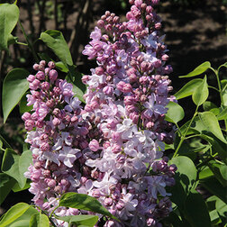 ������ ������ ������ ������������ ��������   ����