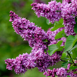 ������ ������ ������ ������������ ���� ��������   ����