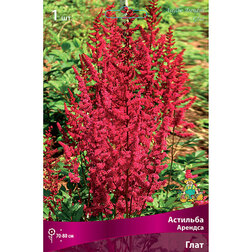 ������ ������ �������� ������� ����   ����