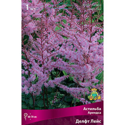 ������ ������ �������� ������� ����� ����   ����