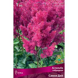 ������ ������ �������� ��������� ����� ���   ����