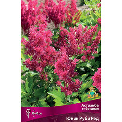 ������ ������ �������� ��������� ���� ���� ���   ����