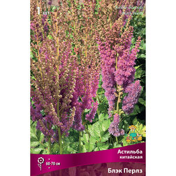 ������ ������ �������� ��������� ���� �����   ����