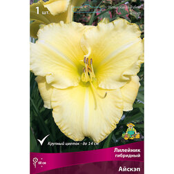 ������ ������ �������� ��������� ������   ����