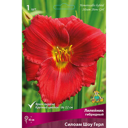 ������ ������ �������� ��������� ������ ��� ����   ����