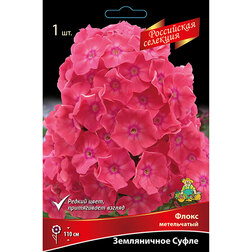 ������ ������ ����� ����������� ����������� �����   ����