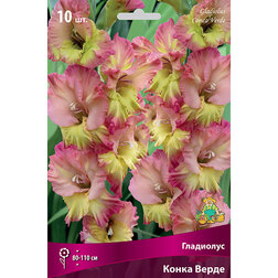 ������ ������ ��������� ������������� ����� ����� (10 ��.)   ����