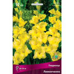 ������ ������ ��������� ��������������� ���������� (10 ��.)   ����