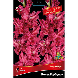 ������ ������ ��������� ����� �������� (5 ��.)   ����