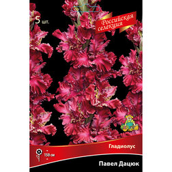 ������ ������ ��������� ����� ����� (5 ��.)   ����