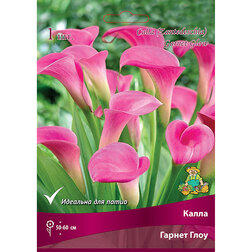 ������ ������ ����� ������ ����   ����