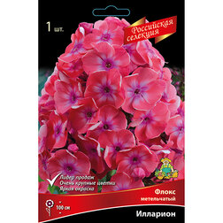 ������ ������ ����� ����������� ��������   ����