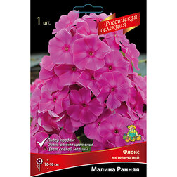 ������ ������ ����� ����������� ������ ������   ����