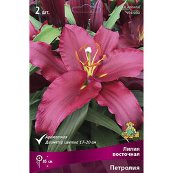 ������ ������ ����� ��������� ��������   ����