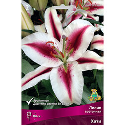 ������ ������ ����� ��������� ����   ����