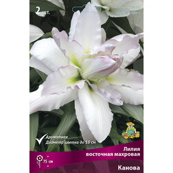 ������ ������ ����� ��������� �������� ������ (1��)   ����