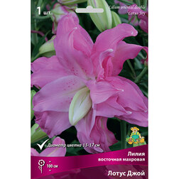 ������ ������ ����� ��������� �������� ����� ����   ����