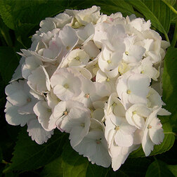 ������ ������ ��������� �������������� ����� ����� �����   ����