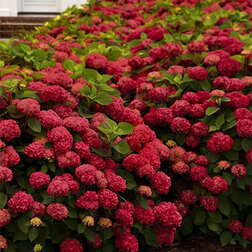 ������ ������ ��������� �������������� ��� ���� �������   ����