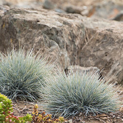 ������ ������ �������� ����� ������� ���   ����