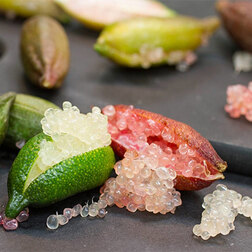 ������ ������ ������ ���� �����������   ����