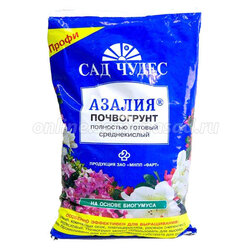 ������ ������ ����� ������ (2,5�)   ����