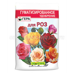 ������ ������ ���� ��� ��� 0,5 ��   ����