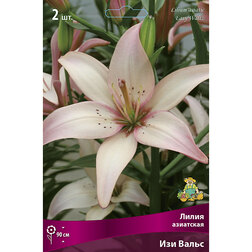 ������ ������ ����� ��������� ��� �����   ����