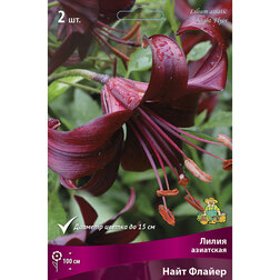 ������ ������ ����� ��������� ���� ������   ����