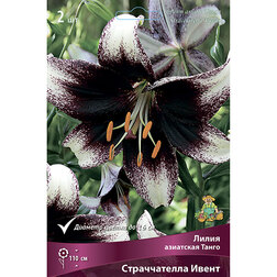 ������ ������ ����� ��������� ������������ �����   ����