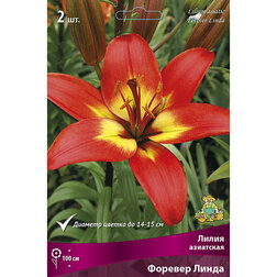 ������ ������ ����� ��������� ������� ����� (2 ��.)   ����