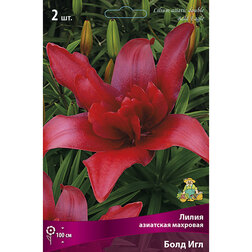 ������ ������ ����� ��������� �������� ���� ��� (2 ��.)   ����