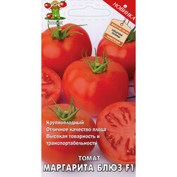 ������ ������ ����� ��������� ���� F1   ����