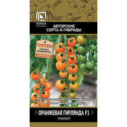 ������ ������ ����� ��������� �������� F1   ����